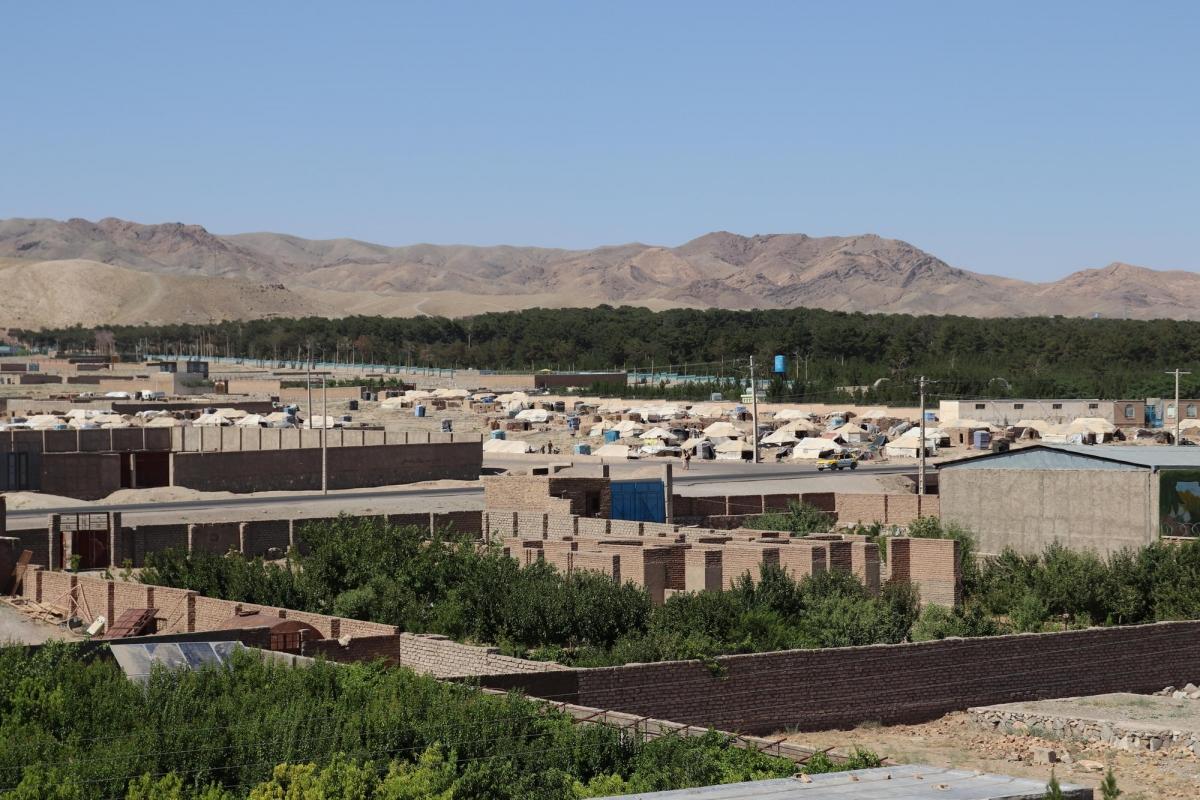 Les camps de personnes déplacées, dans la banlieue de la ville de Herat.&nbsp;
 © Noor Ahmad Saleem/MSF