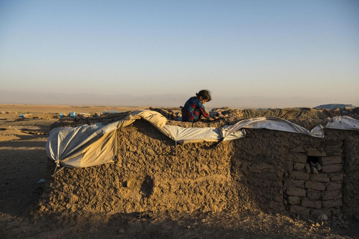 Camp de déplacés de Shahrak-é-Sabz, en périphérie de la ville d'Hérat, Afghanistan, août 2019. Une jeune fille s'isole sur le « toit » d'une maison.
© Andrew Quilty