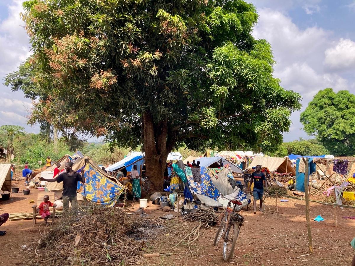 Vue de l'intérieur de la ville de Ndu, dans le nord de la RDC, où des milliers de Centrafricains se sont réfugiés suite à l'attaque d'un groupe armé non étatique sur Bangassou le 3 janvier.
 © Dale Koninckx/MSF