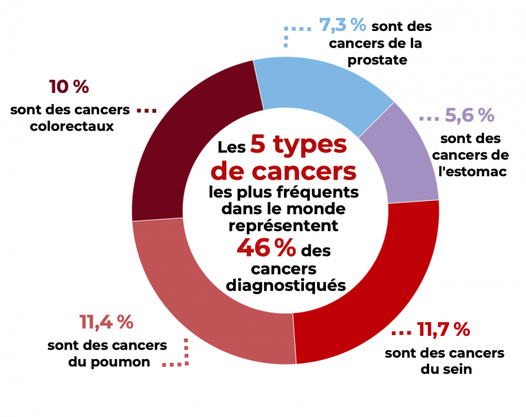 Source : CICR - OMS, 2020


&nbsp;

