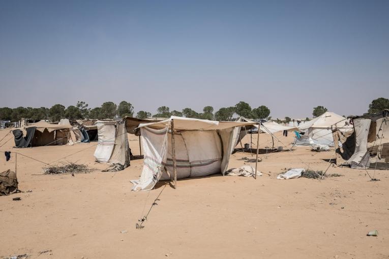 Vue du camp de&nbsp;Twahina, à proximité de&nbsp;Tabqa.
 © Agnes Varraine-Leca