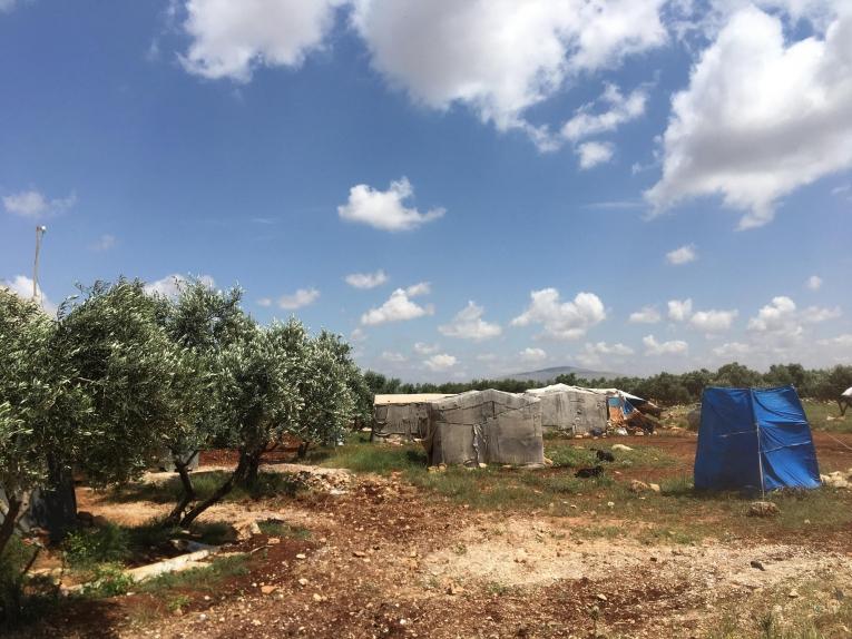 Des tentes de fortune sont installées au milieu d'une oliveraie aux abords d'un camp de personnes déplacées d'Idlib.
© Mohammed Homidan/MSF