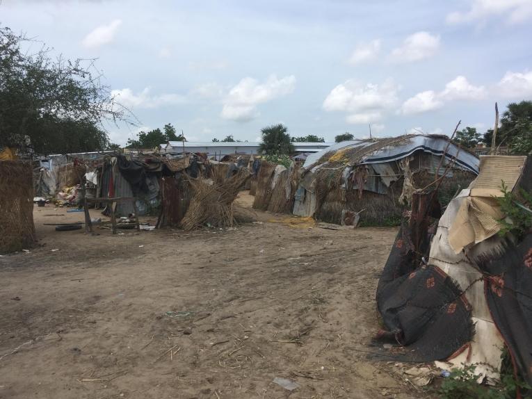 Terrain dit « de réserve » à proximité du centre MSF de N'Djamena. N'Djamena. 2018.
 © Anaïs Deprade/MSF