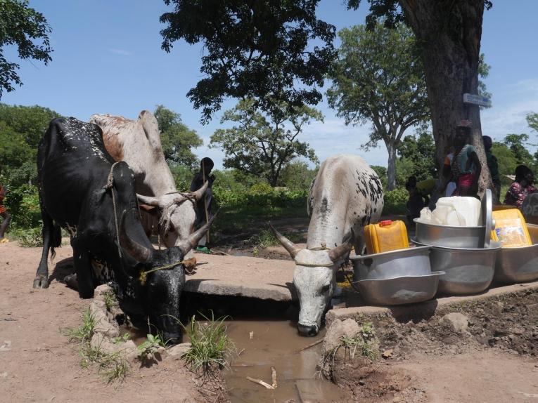 Un village de la région de Paoua. République centrafricaine. 2018.
 © MSF/Anaïs Deprade