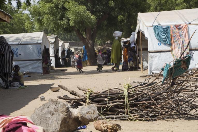 Plus de 29 000 personnes vivent dans le camp de personnes déplacées sur un total de 60 000 personnes déplacées dans la ville de Bama. Certains d'entre eux vivent ici depuis près de deux ans et sont totalement dépendants de l'aide humanitaire pour leur sur Thumbnail