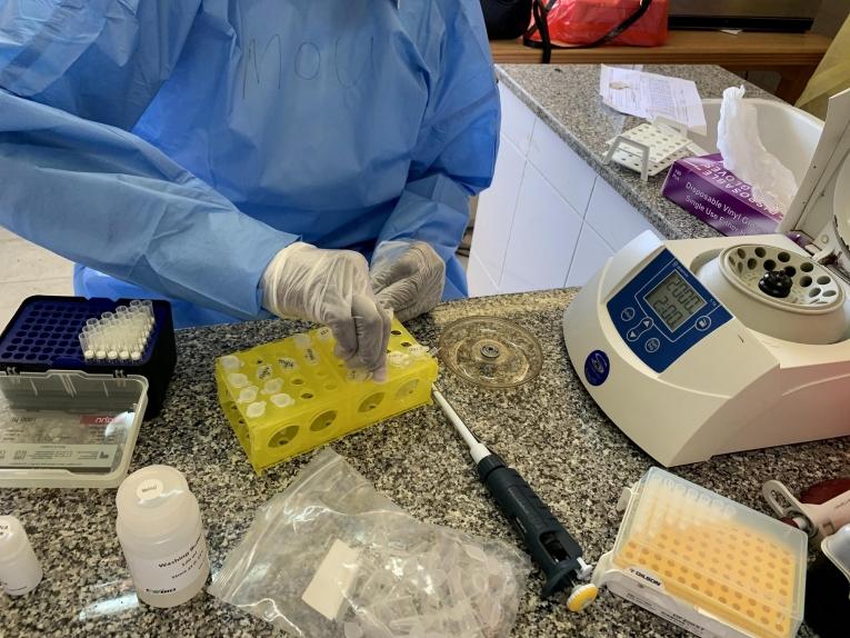 Un technicien de laboratoire extrait un échantillon d'un cas suspect de Covid-19 dans le Laboratoire national de santé publique de Juba.