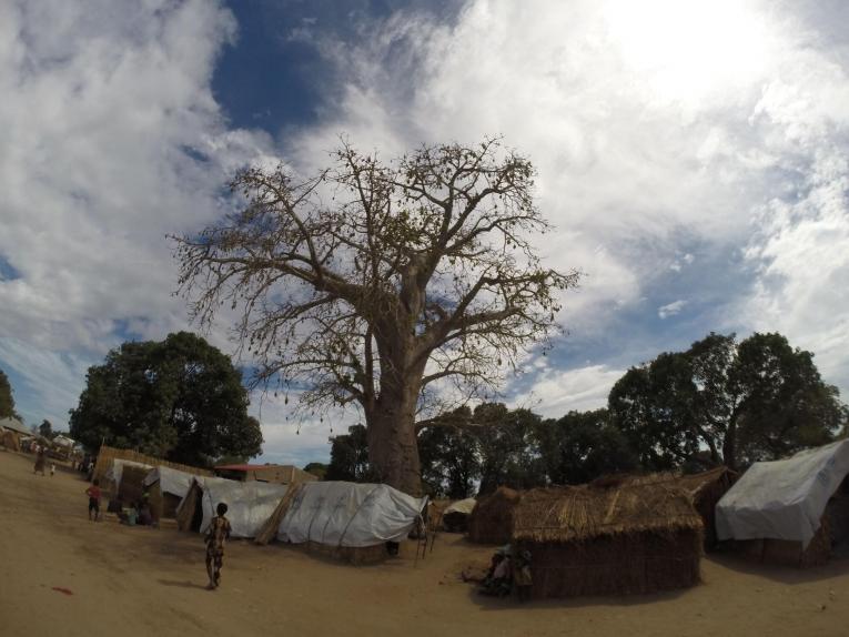 Camp de déplacés 25 de Junho - Cabo Delgado