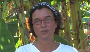 Francisca, architecte en Haïti