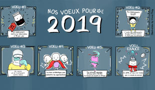 Voeu 2019