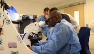 Un membre des équipes de Médecins Sans Frontières utilise le microscope du Mini-Lab. 2019.