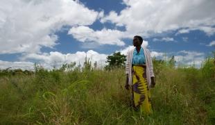 malawi Palliative care francesco segoni