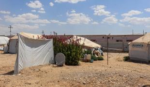 Le camp de personnes déplacées de Laylan, dans le gouvernorat de Kirkouk, en Irak, juillet 2020.