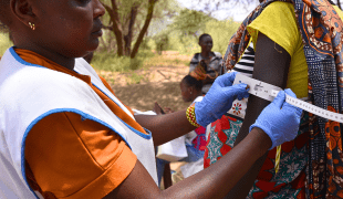 Evalyn Kaman, nutritionniste au ministère de la Santé, mesure le périmètre brachial d'une femme enceinte lors d'une campagne médicale de dépistage de la malnutrition dans le village de Nasorot. Comté de Baringo, Kenya 