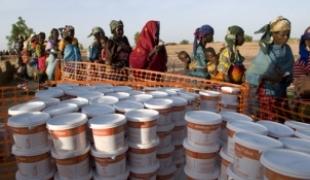 Distribution préventive de Plumpy'doz un complément nutritionnel dans la région de Maradi au Niger juin 2008.