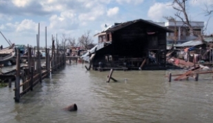 La zone de Bogaley particulièrement dévastée par le cyclone