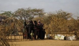 Réfugiés Somaliens dans un camp de fortune en périphérie du camp de Dagahaley Dadaab Kenya.