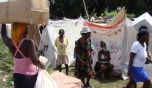 Distribution de tentes par MSF dans un camp à Léogâne.