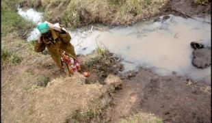 Dans la région de Kericho les femmes du camp de Kamwingi 2 ne pouvaient puiser de l'eau que dans cette rivière. MSF est intervenue pour assurer un accès à de l'eau propre et potable.