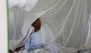Tristan Pfund /MSF
Hôpital Chancerelle : cet hôpital de référence pour les soins gynécologiques et obstétriques est également utilisé pour les soins traumatiques.