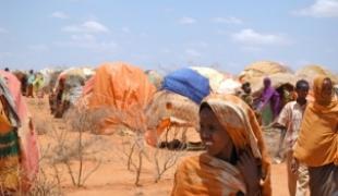 Région Somali septembre 2008. Les populations déplacées affluent autour de Wardher en quête d'eau et de nourriture.