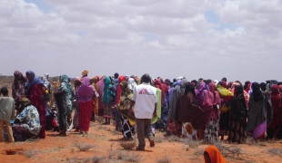 A Marere dans la région du Bas Juba au Sud de la Somalie le personnel de MSF a pris en charge des dizaines de blessés suite à un bombardement aérien effectué sur la ville de Jilib.