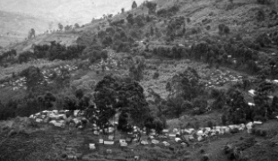 Camp de déplacés dans le territoire de Masisi (RDCongo)