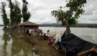 Un campement de fortune de Rohingya s'étant réfugiés au Bangladesh pour fuir les violences l’État de Rakhine au Myanmar. Madeleine Kingston/MSF