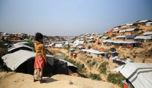 Les conditions de vie des Rohingyas dans les camps de réfugiés au Bangladesh sont désastreuses. Mohammad Ghannam/MSF