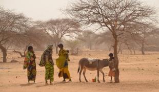 Afin de répondre aux besoins de réfugiés maliens vulnérables MSF soutient des centres de santé au Burkina Faso notamment à Gandafabou et à Férrerio. Avril 2012