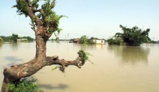 Le 18 août d'intenses pluies de mousson ont entraîné la rupture d'une digue sur la rivière Kosi entraînant d'importantes inondations dans le sud du Népal et dans l'état du Bihar en Inde. Diego Martin Ureta Moran / MSF