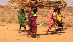 Femmes à l'extérieur du camp de Kalma  Février 2008