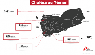 Répartition des patients pris en charge par MSF au 17 mai 2017.