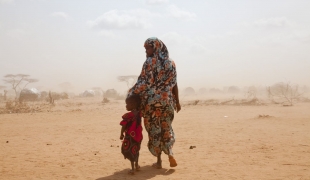 Camp de réfugiés de Dadaab au Kenya  juillet 2011