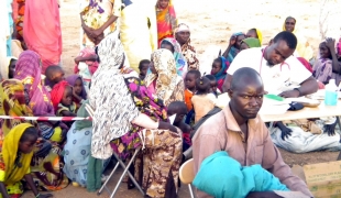 Il s'agit du plus important mouvement de population du Soudan vers le Tchad depuis plusieurs années. Selon le Haut Commissariat aux Réfugiés au moins 50 000 personnes se sont réfugiées dans la région de Tissi dans l'extrême sud est du pays.
