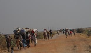 L'insécurité au Soudan du Sud a forcé des dizaines de milliers de personnes à fuir leur pays. Janvier 2014