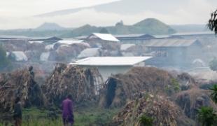 Déplacés dans les camps situés à l'ouest de Goma. 45.000 personnes vivent dans ces camps où l'aide humanitaire est insuffisante.