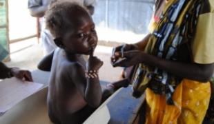 Une étude menée au Niger confirme que des suppléments nutritionnels de qualité doivent devenir l'un des piliers de la lutte contre la mortalité infantile. MSF demande aux Etats membres du G8 de s'engager à garantir une alimentation adéquate pour le
