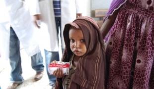 MSF demande au G8 de rendre disponible les fonds nécessaires pour offrir gratuitement les produits nutritionnels adaptés aux besoins des enfants malnutris. Lire notre dossier de presse.