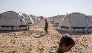 Récits de Syriens dans le camp d'Aïn Issa