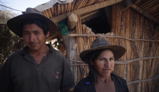Projet MSF de lutte contre la maladie de Chagas en Bolivie. Près de Aiquile, une maison vient d'être traitée contre les vinchucas, des insectes vecteurs de la maladie. 