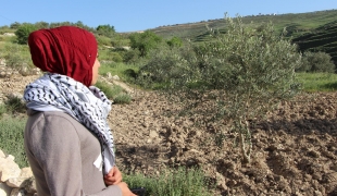 Estabarak, 17 ans, habite le village de Madama en Cisjordanie. Elle se tient devant sa maison et regarde en direction de la colonie devant laquelle elle s'est fait tirer dessus. Elle est suivie par l'équipe de psychologues de Médecins Sans Frontières. 2018.