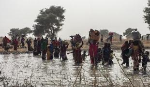Près de 8 000 personne ont fui la ville de Rann dans le nord-est du Nigeria pour trouver refuge dans la ville de Bodo au Cameroun. Le 15 janvier une équipe médicale MSF est arrivée à Bodo. Les personnes sur place étaient majoritairement des femmes et des enfants selon leurs estimations. Environ 1 200 personnes sont parvenues à s'installer dans les terres tandis que 7 000 sont restées au bord la rivière qui sépare le Nigeria du Cameroun. Les communautés locales s'organisent pour aider les déplacés et leur fo