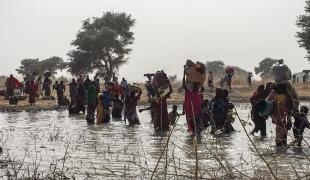 Près de 8 000 personne ont fui la ville de Rann dans le nord-est du Nigeria pour trouver refuge dans la ville de Bodo au Cameroun. Le 15 janvier une équipe médicale MSF est arrivée à Bodo. Les personnes sur place étaient majoritairement des femmes et des enfants selon leurs estimations. Environ 1 200 personnes sont parvenues à s'installer dans les terres tandis que 7 000 sont restées au bord la rivière qui sépare le Nigeria du Cameroun. Les communautés locales s'organisent pour aider les déplacés et leur fo