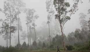 DRC Mweso North Kivu July 2011