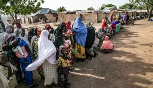 Surviving conflict in northeast Nigeria