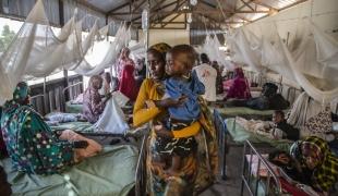 Malaria outbreak in North Darfur, Sudan