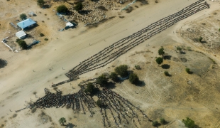 Des milliers de Sud-Soudanais faisant la queue pour une distribution dans la ville de Leer, dans l'État d'Unité, en 2015. Le conflit qui oppose depuis 2013 l’armée sud soudanaise à des groupes d’opposition a provoqué le déplacement de plusieurs millions de Sud-Soudanais.