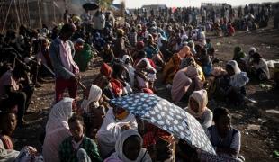 Ethiopian Refugees Crossing: Hamdayet Entry Point
