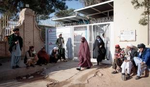 Entrée du centre de nutrition thérapeutique MSF de l'hôpital régional d'Hérat. Afghanistan 2021.