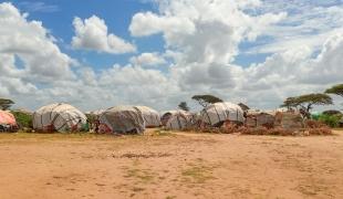 Vue du camp de réfugiés de Dagahaley à Dadaab. Kenya. 